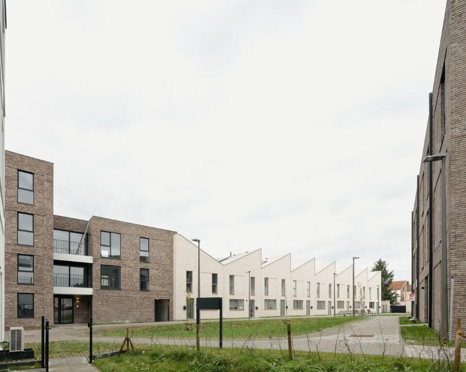 Styfhals Pardaen Vilvoorde Dennis De Smet 25